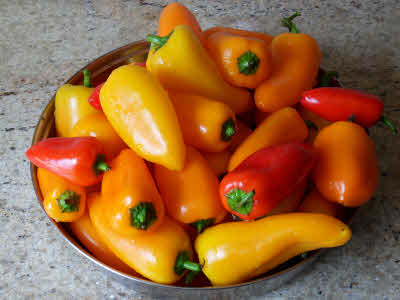 Sweet peppers