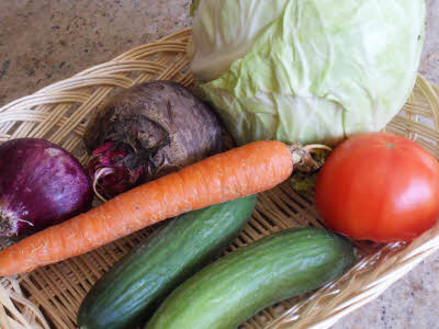 Raw vegetables for kachumar salad