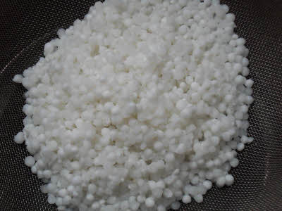 Soak Sabudana