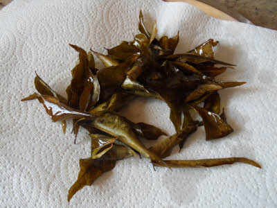 Fry curry leaves for papri