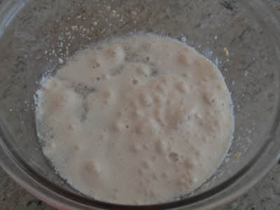 Prepare yeast for kulcha bread