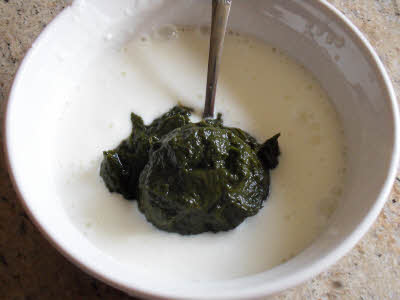 yogurt + spinach