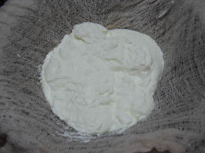 Hung curd