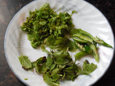 Fresh mint, coriander and green chillies