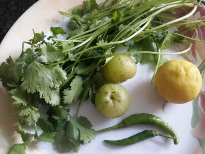 Ingredients for Amla Coriander Chutney