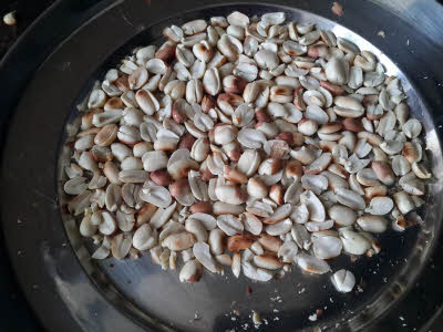 Prepare peanuts for sabudana khichdi