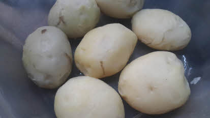 Boiled potatoes