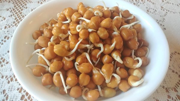 How to sprout bengal gram or kala chana