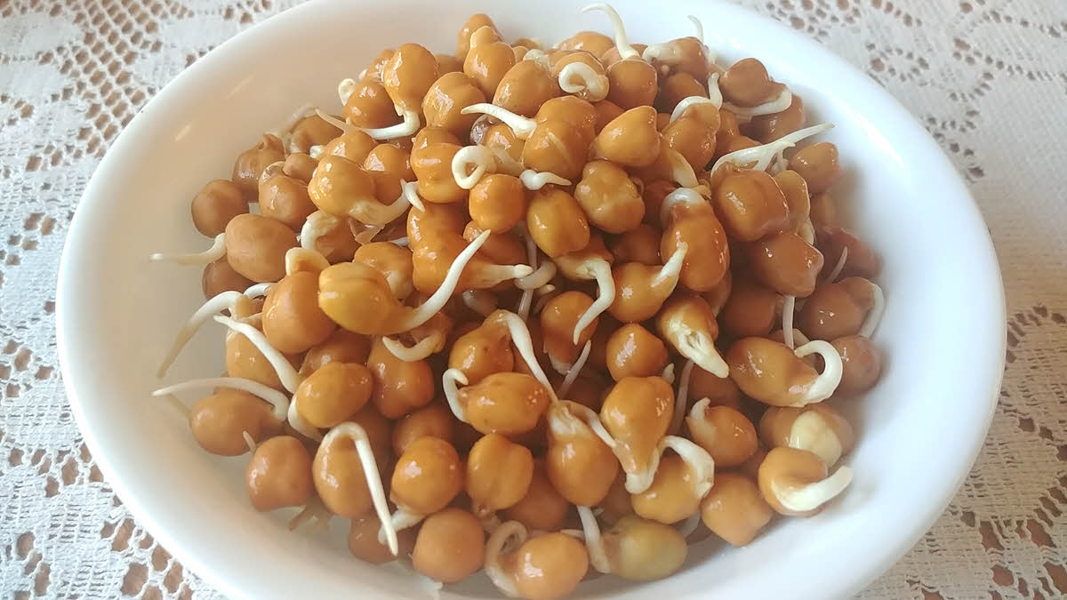 How to sprout bengal gram or kala chana