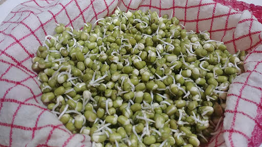 Sprouted moong