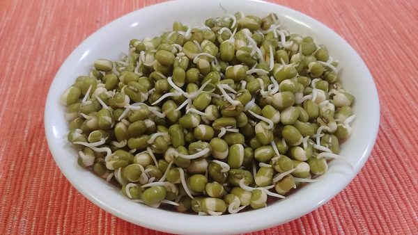 How To Sprout Moong/Mung