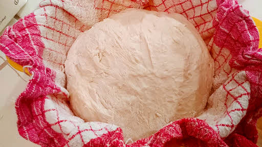 Place the dough in the bowl for final rise