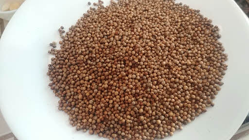 Roast dhaniya seeds