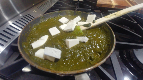 Fresh spinach leaves